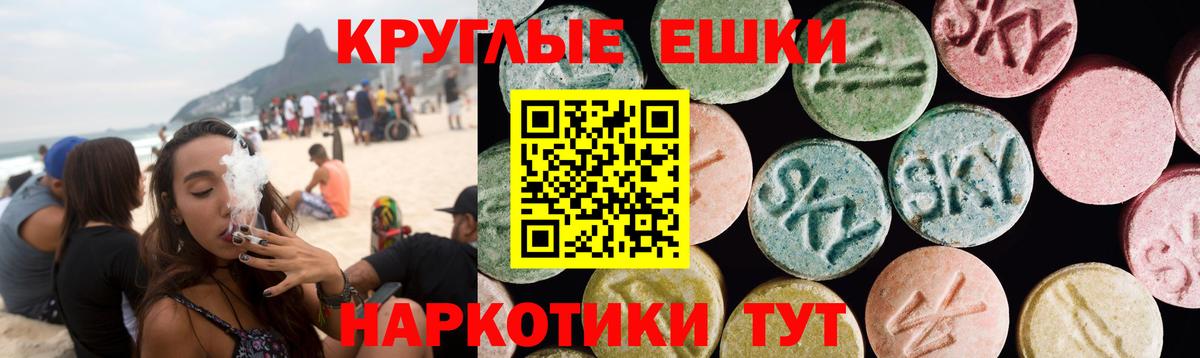 ЭКСТАЗИ Philipp Plein Балахна