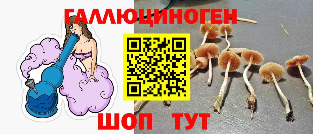 Галлюциногенные грибы прущие грибы Балахна